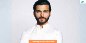 shikhar pahariya net worth